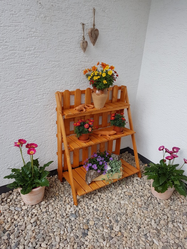Promadino Blumenetagerie Altes Land