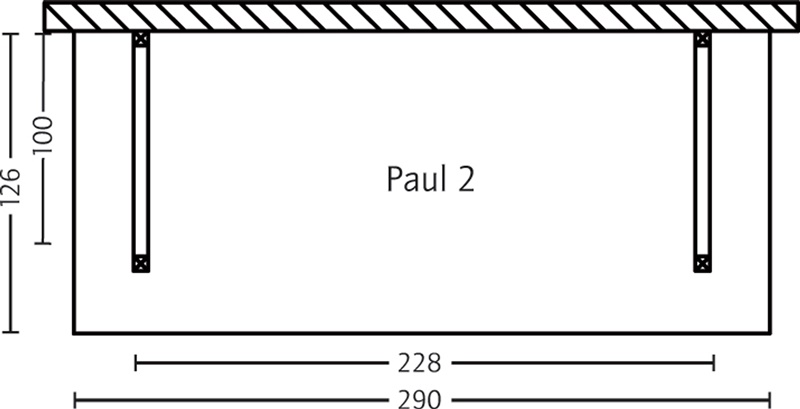 Skan Holz Holzunterstand Paul 2, 290 x 126 cm, Douglasie