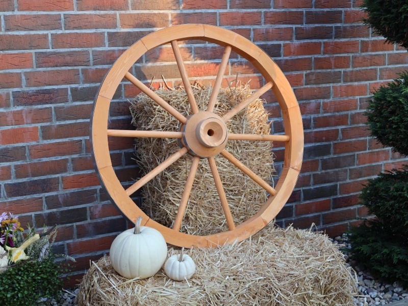 Promadino Wagenrad groß, Ø 90 cm, honigbraun