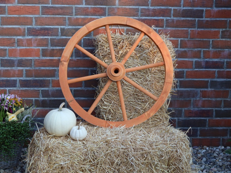 Promadino Wagenrad mittel, Ø 75 cm, honigbraun